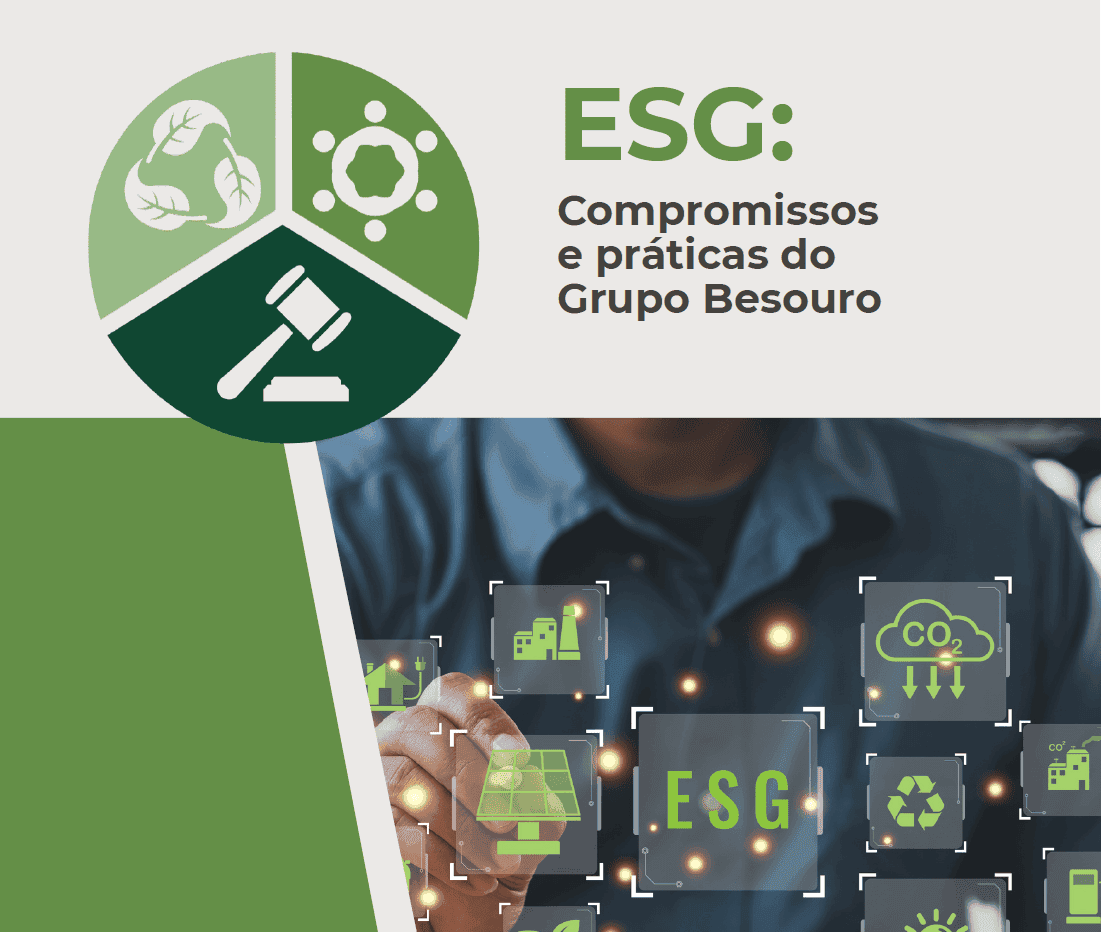 esg_capa_e687ebadba.png